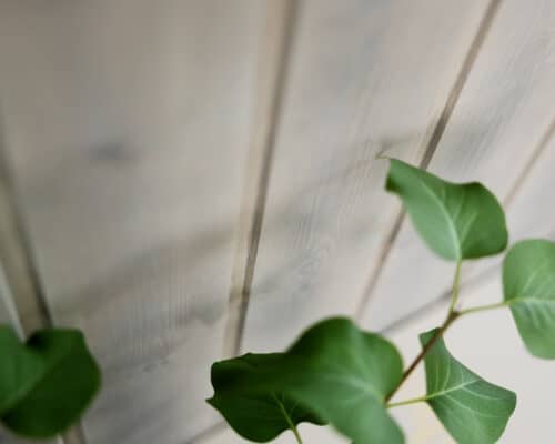 Interiør01_Skyggeskrå_Skifergrå