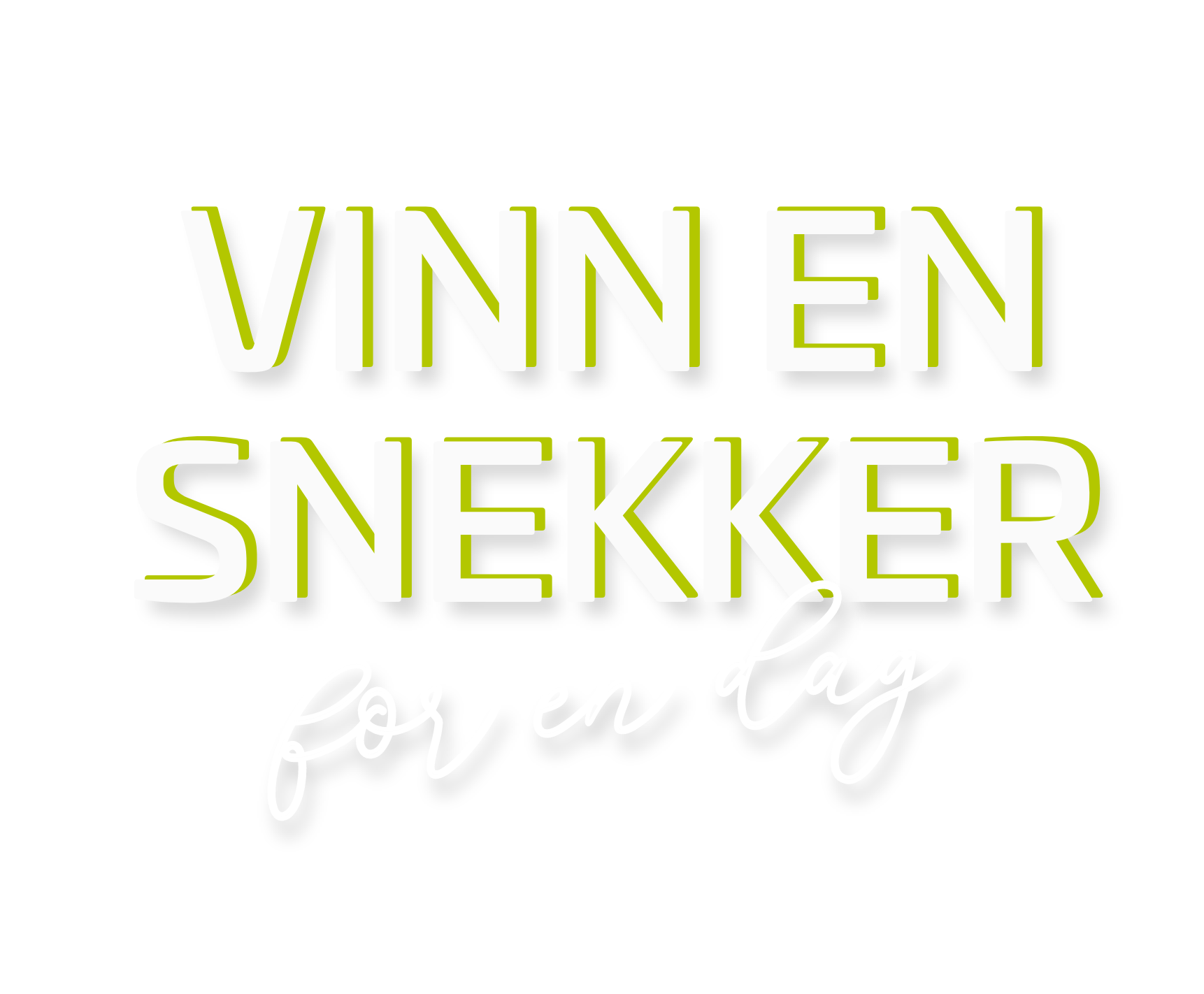 Vinn en snekker for en dag 2