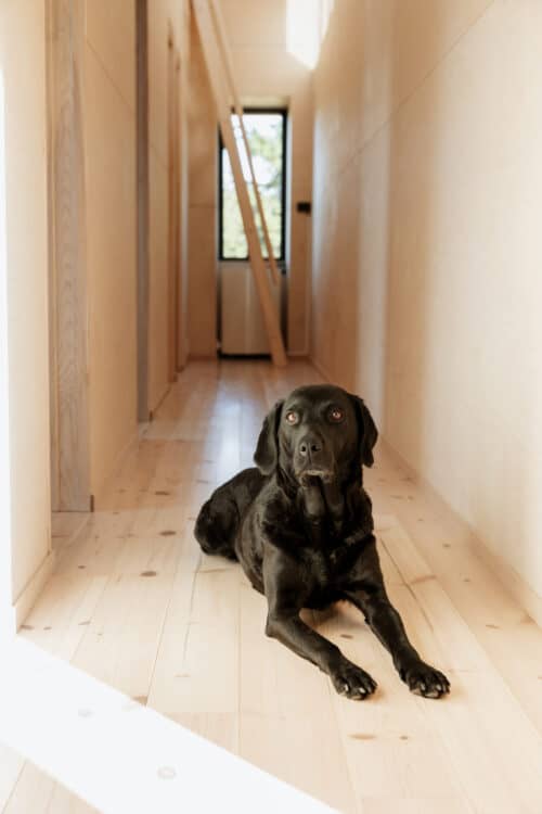 Gulv: 21x142 Furu natur lasert